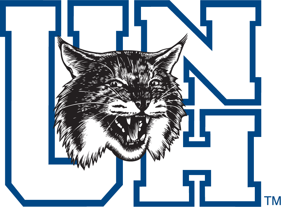 New Hampshire Wildcats 1993-2000 Alternate Logo iron on transfers for clothing